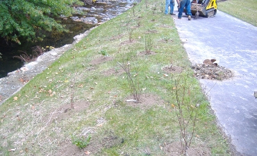 Gallery: Cascade Creek Restoration